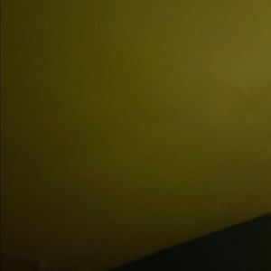 Meet your Posher, Coco